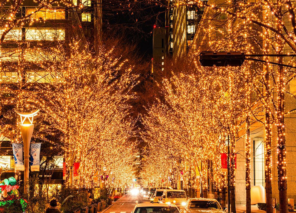 February in Japan Has Its Own Rhythm (And It’s Honestly Kind of Great)