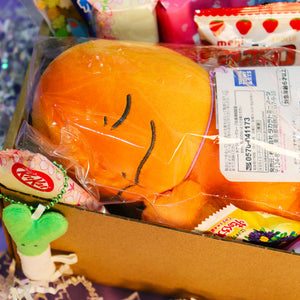 Charmander Plush Gift Set – Premium Edition