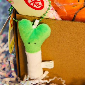 Charmander Plush Gift Set – Premium Edition