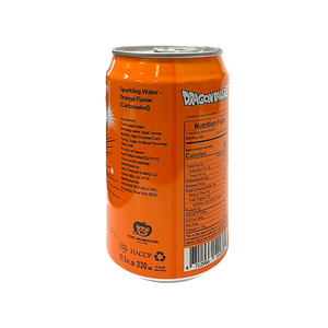 Ocean Bomb Dragon Ball Sparkling Water – Orange